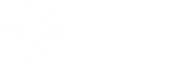 Agency Networks White Logo