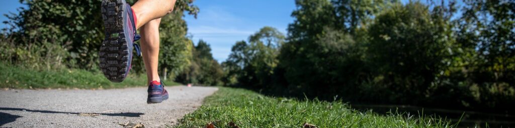 Security|Penetration test|disaster recovery|support|Healthy oranges|Running on path