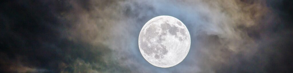 ||Author|What keeps you up at night - Owl|Spooky forest|Moon at night